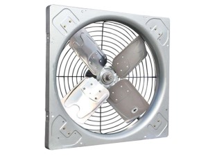 黄色污污草莓视频風機